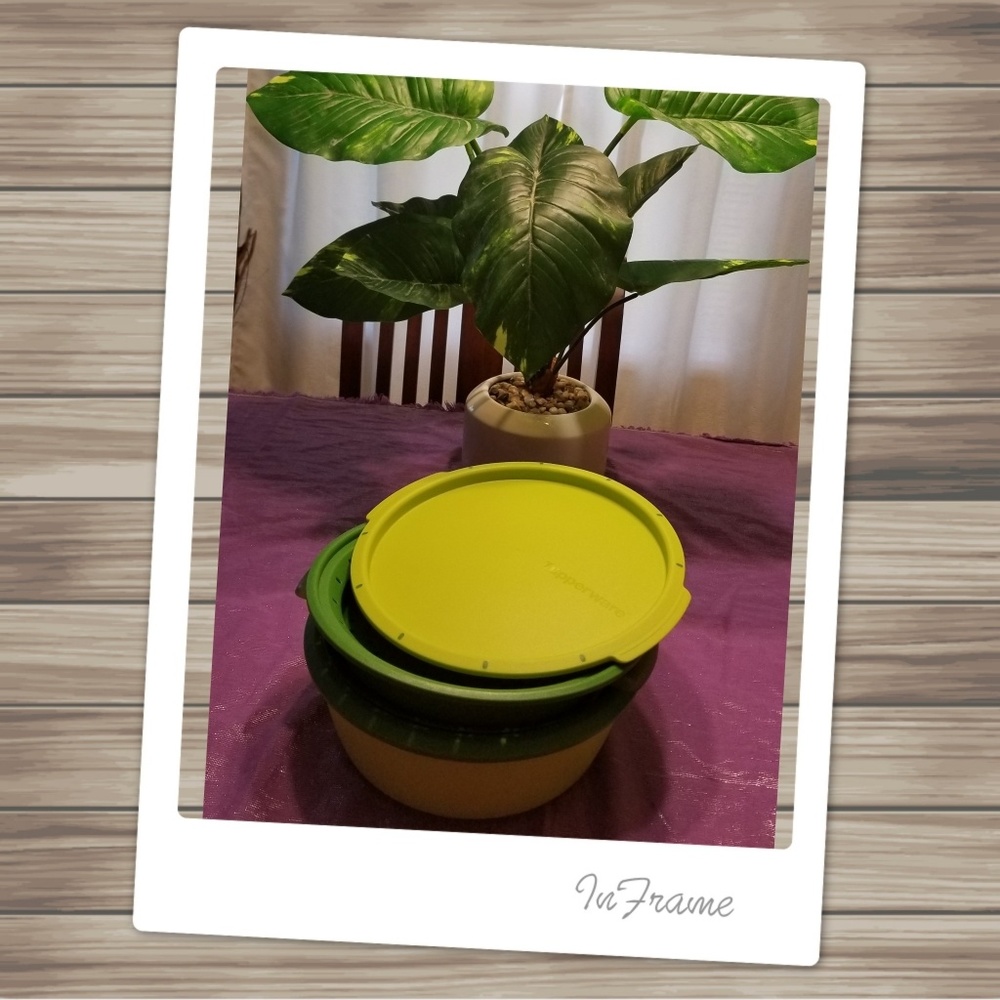 Tupperware Steamer
